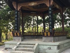 -梅园