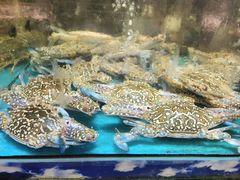 -乐在集市海鲜大排档(平潭店)