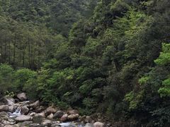 -大明山自然探索公园