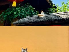 -龙华寺