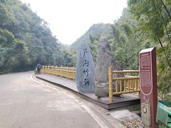 -芦沟竹海