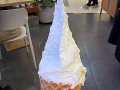 -野人先生Gelato(上海长宁龙之梦店)