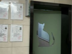 -半岛宠物医院24小时(白果林店)