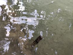 -关西瀑布