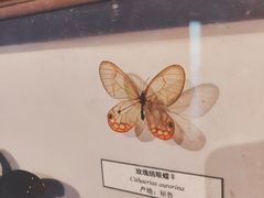 -中国湿地博物馆