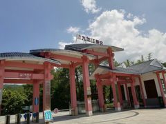 -九龙江国家森林公园