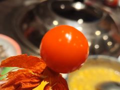 -百一大地锅(香福路店)