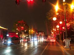 -福苗小骆驼烧烤(大唐不夜城店)