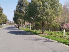 -上海海湾国家森林公园