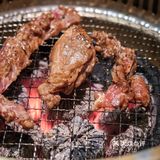 常州探店| 把松鱼亭吃成食堂，yyds臣妾已经说倦了