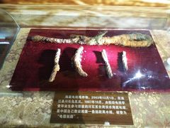 -中国船政文化博物馆