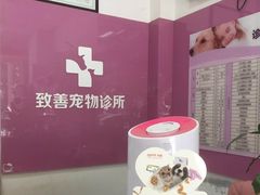 -致善宠物医院(体育路店)