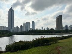 -万绿园