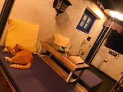 -Sirena海妖日咖夜酒