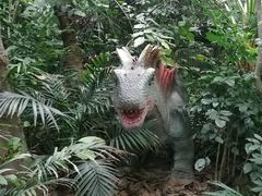-呀路古热带植物园