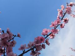 -白塘生态植物园