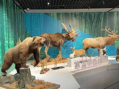 -中国湿地博物馆
