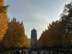 -玲珑塔公园