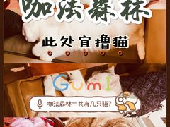 -咖法森林·咖啡  酒吧(天河店)