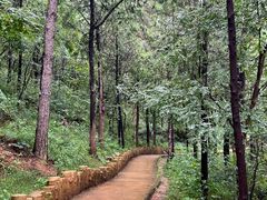 -北京西山国家森林公园