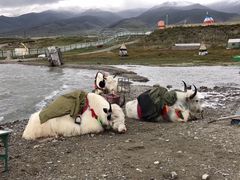-青海湖国家重点风景名胜区
