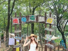 -沂蒙山旅游区云蒙景区(蒙山国家森林公园)