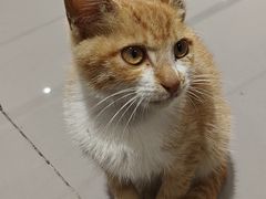 -港汇恒隆广场