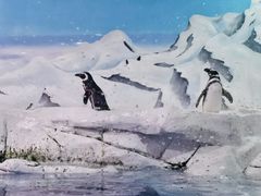 -上海海洋水族馆