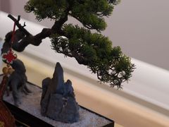 -席仁堂推拿按摩脊柱调理(世纪科贸大厦店)