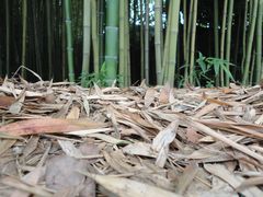 -上海市龙华烈士陵园