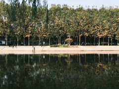 -泰州凤城河风景区-泰山公园