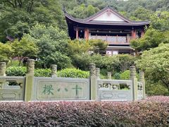 -十八棵（老龙井）御茶园(老龙井店)