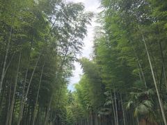 -黄公望隐居地