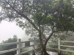 -广州市帽峰山景区