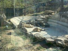 -石家庄市动物园