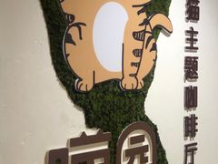 -喵园·猫主题咖啡厅·撸猫·猫咖(国贸店)