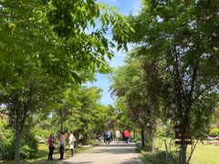 -鹅湖玫瑰文化园