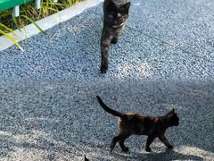 -长辛店二七公园