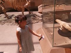 -陕西自然博物馆