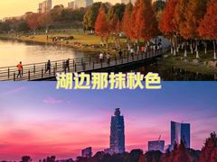 -桐乡凤凰湖
