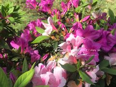 -韶山毛泽东同志故居