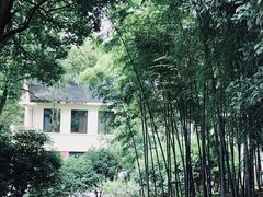 -上海市保健医疗中心(华东疗养院)