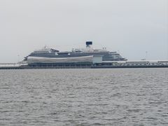 -上海吴淞炮台湾国家湿地公园