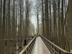-青山湖景区