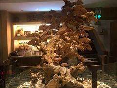 -禅一·静观堂(长寿路店)