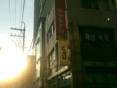 -莲洞本家
