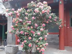 -齐白石旧居纪念馆