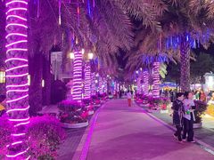 -三亚海昌梦幻海洋不夜城