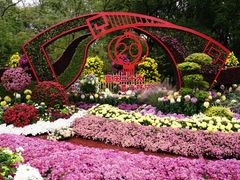 -上海共青森林公园