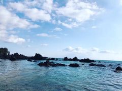 -真情鲍鱼海鲜汤